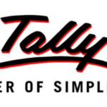 What exactly is Tally 9?