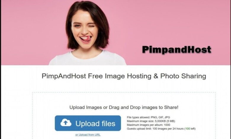 What is PimpAndHost & How to Access PimpAndHost?