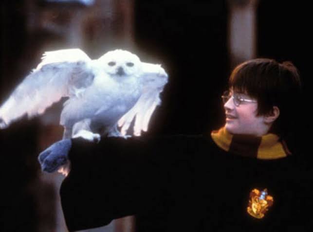 The Forever Best Magical Moments the ‘Harry Potter’ Movies Perfectly Captured