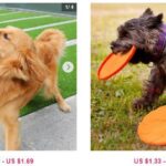 Top-Notch Facilities you can access from Online Pet Suppliers.