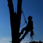 A Safety Checklist for Your Tree Service Business