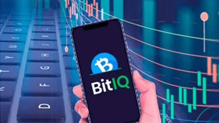 BitIQ: Is It A Reliable Trading App?