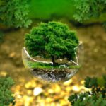 Ways to Grow Your Online Following to Raise Environmental Protection Awareness