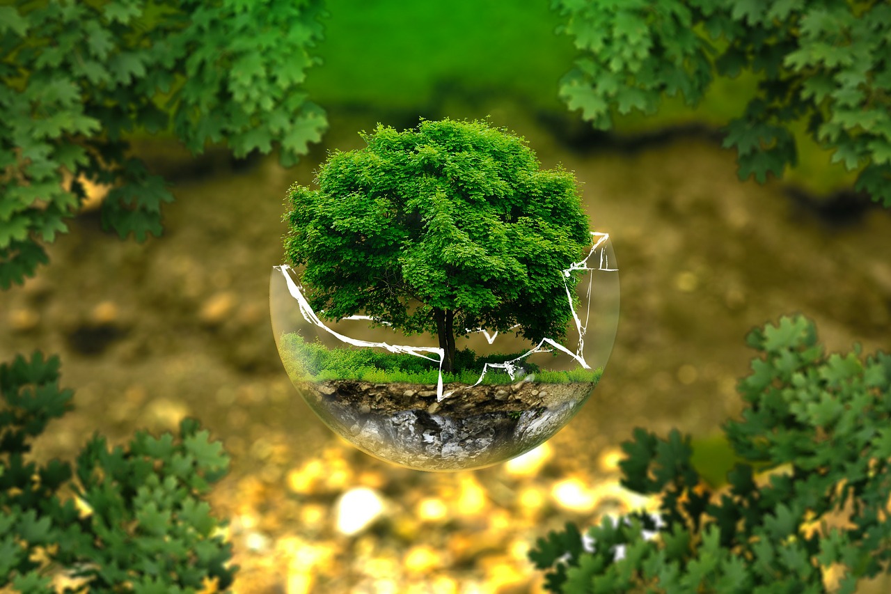 Ways to Grow Your Online Following to Raise Environmental Protection Awareness