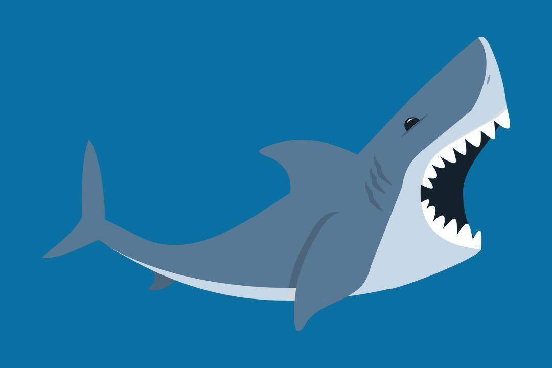 Sharksnado