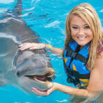 Discovering the Enchanting Dolphin Discovery Cozumel and Chankanaab Park: A Delightful Journey into Quintana Roo’s Marine Paradises