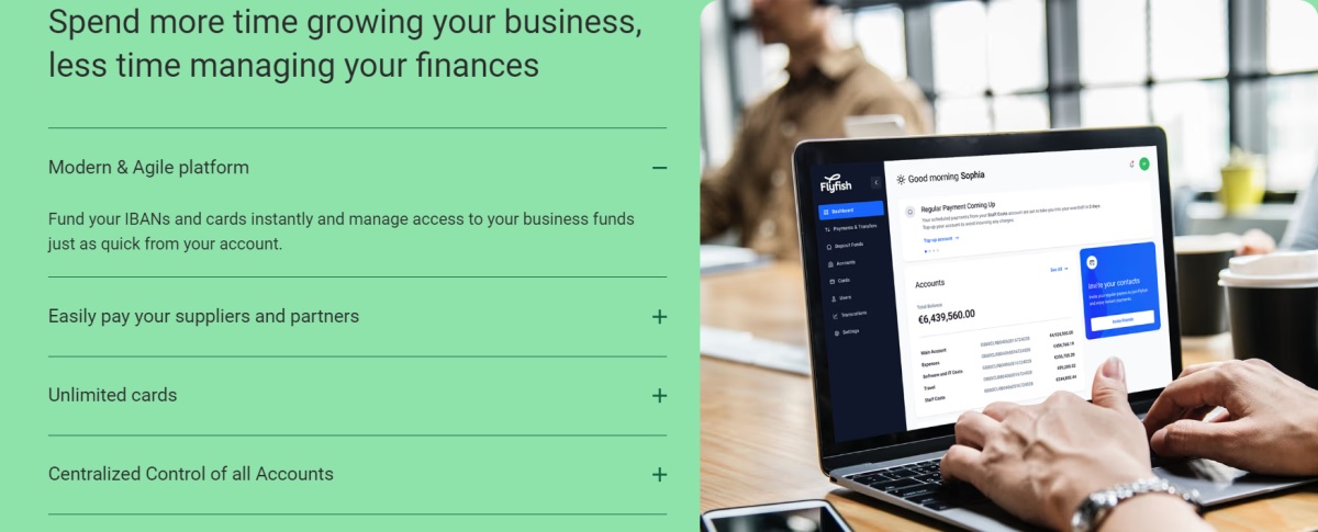 Flyfish Review – Offering the Right Tools for Online Businesses